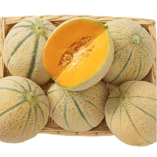 semi melone retato