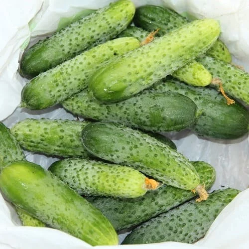 Cetriolino Verde di Parigi