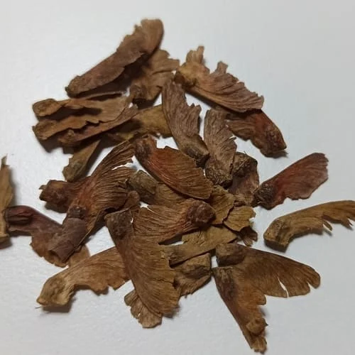 semi acero