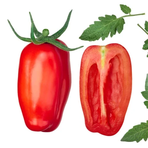 San Marzano Lampadina 2