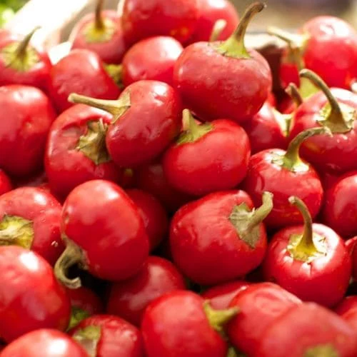 Peperoncino Ciliegia Piccante