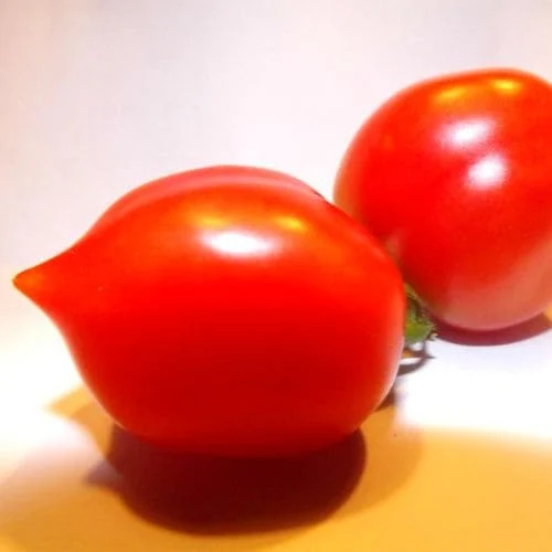 Pomodoro Principe Borghese