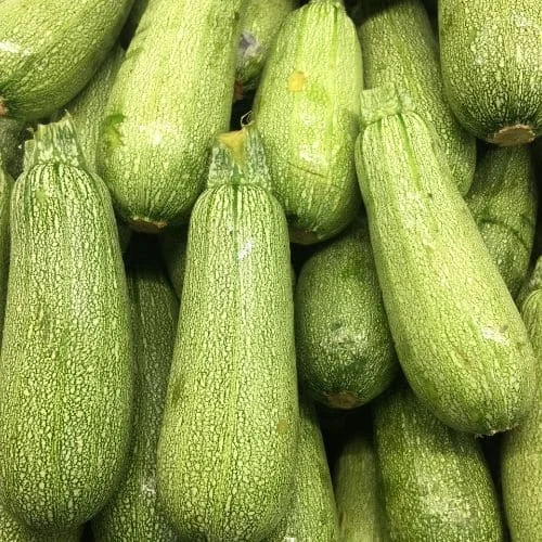 Zucchino Bolognese