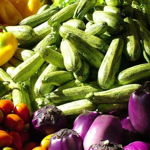 Zucchino di Faenza