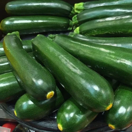 Zucchino Nano Verde di Milano