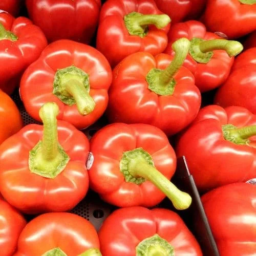 Peperone Quadrato d'Asti Rosso