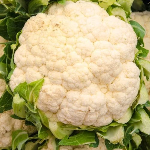 Cavolfiore di Jesi Precoce