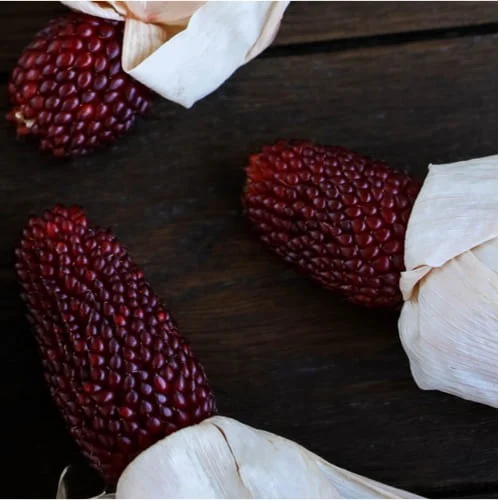 Mais Fragola da Popcorn