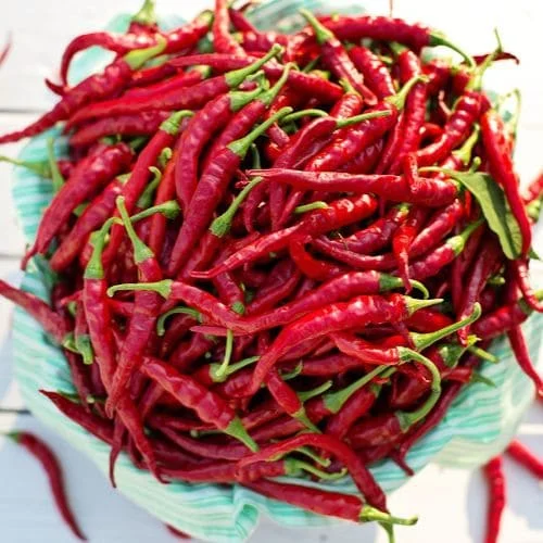 Peperoncino di Cayenna