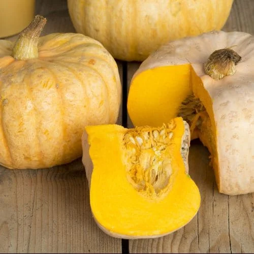 Zucca Australian Butter (Cucurbita Maxima)