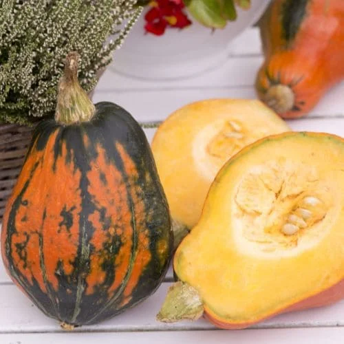 Zucca Lakota (Cucurbita Maxima)