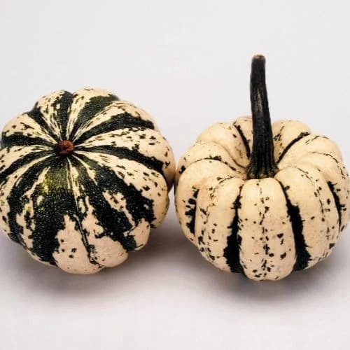 Zucca Sweet Dumpling (Cucurbita Pepo)