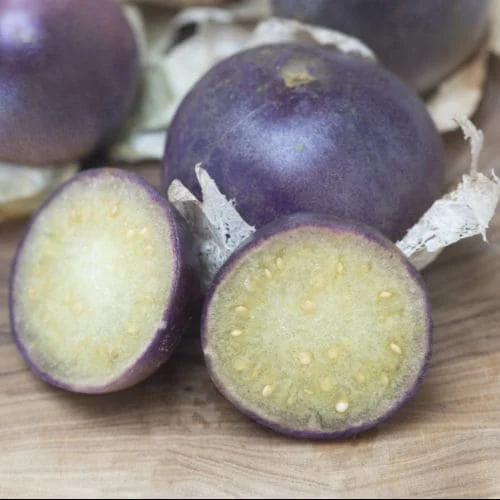 Tomatillo Viola de Milpa