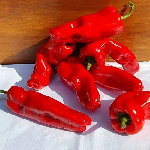 Peperone-Dulce-dEspana