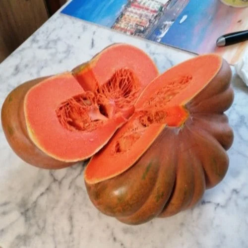 Zucca Moscata di Provenza (Muscade de Provence)